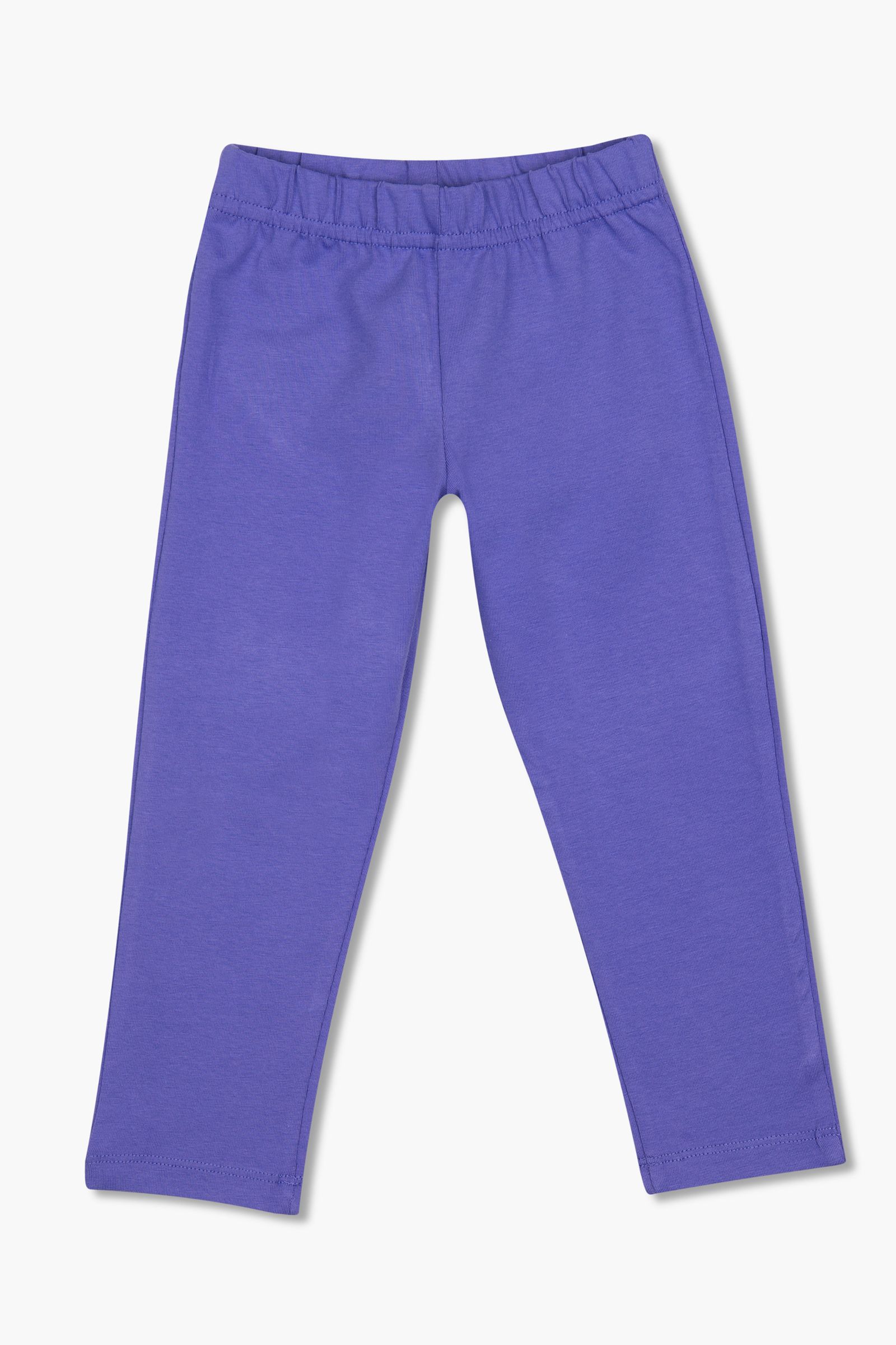 Легинсы-БР09-2923г оптом от производителя детской одежды 'Алёна'