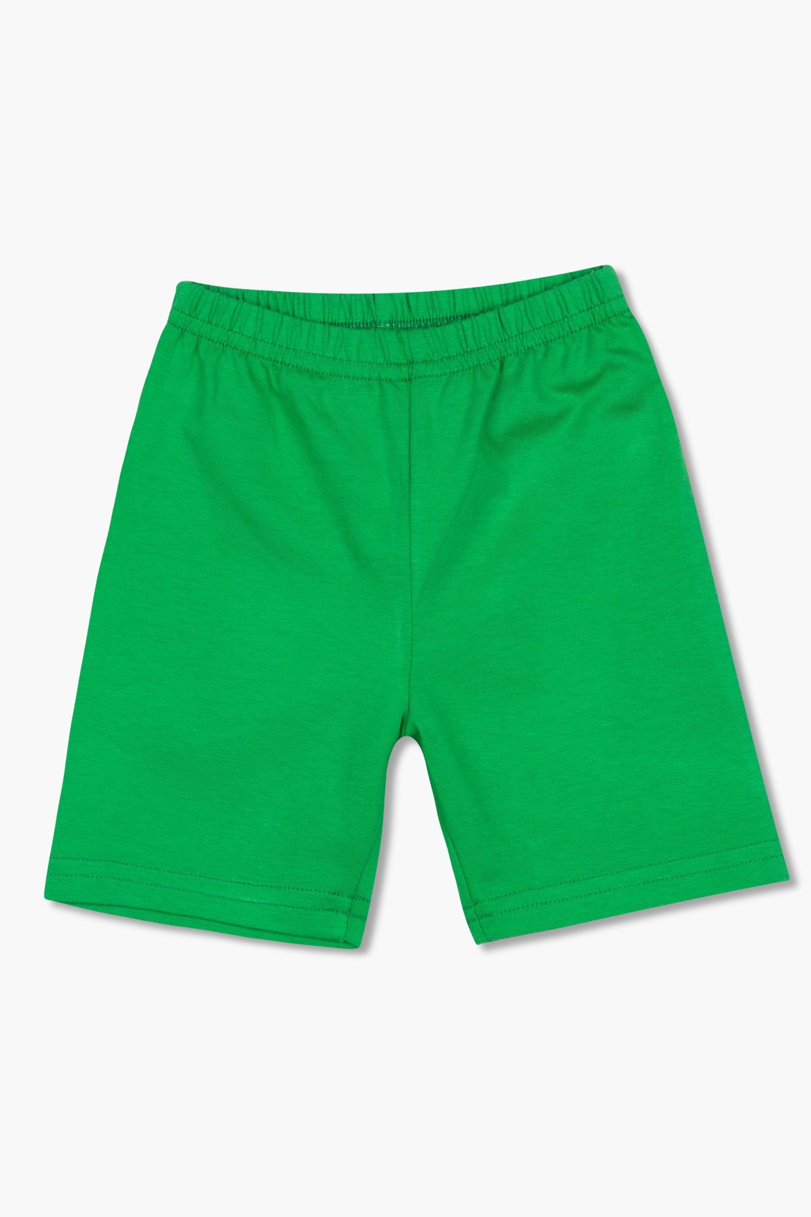 Шорты-ШР09-2793 оптом от производителя детской одежды 'Алёна'